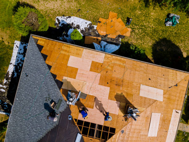 Best Storm Damage Roof Repair  in Spanish Lake, MO